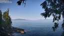 ./images/koeye/fitz-hugh/20260720/fitz-hugh20260720_092002M.jpg