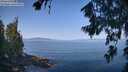 ./images/koeye/fitz-hugh/20260720/fitz-hugh20260720_094501M.jpg