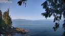 ./images/koeye/fitz-hugh/20260720/fitz-hugh20260720_100501M.jpg
