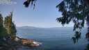 ./images/koeye/fitz-hugh/20260720/fitz-hugh20260720_101501M.jpg