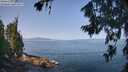 ./images/koeye/fitz-hugh/20260720/fitz-hugh20260720_102502M.jpg