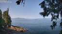 ./images/koeye/fitz-hugh/20260720/fitz-hugh20260720_103002M.jpg