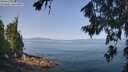 ./images/koeye/fitz-hugh/20260720/fitz-hugh20260720_103501M.jpg
