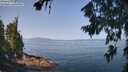 ./images/koeye/fitz-hugh/20260720/fitz-hugh20260720_104502M.jpg