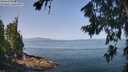 ./images/koeye/fitz-hugh/20260720/fitz-hugh20260720_105001M.jpg