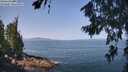 ./images/koeye/fitz-hugh/20260720/fitz-hugh20260720_110501M.jpg