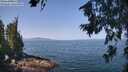 ./images/koeye/fitz-hugh/20260720/fitz-hugh20260720_112001M.jpg