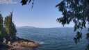 ./images/koeye/fitz-hugh/20260720/fitz-hugh20260720_113002M.jpg