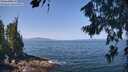 ./images/koeye/fitz-hugh/20260720/fitz-hugh20260720_113501M.jpg