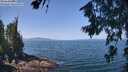 ./images/koeye/fitz-hugh/20260720/fitz-hugh20260720_114501M.jpg
