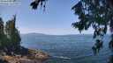 ./images/koeye/fitz-hugh/20260720/fitz-hugh20260720_122002M.jpg