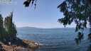 ./images/koeye/fitz-hugh/20260720/fitz-hugh20260720_123501M.jpg