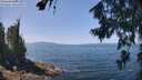 ./images/koeye/fitz-hugh/20260720/fitz-hugh20260720_124001M.jpg