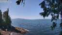 ./images/koeye/fitz-hugh/20260720/fitz-hugh20260720_124501M.jpg