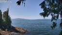 ./images/koeye/fitz-hugh/20260720/fitz-hugh20260720_125002M.jpg