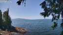 ./images/koeye/fitz-hugh/20260720/fitz-hugh20260720_125501M.jpg