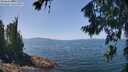 ./images/koeye/fitz-hugh/20260720/fitz-hugh20260720_130001M.jpg