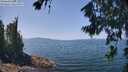 ./images/koeye/fitz-hugh/20260720/fitz-hugh20260720_130501M.jpg
