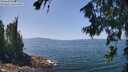 ./images/koeye/fitz-hugh/20260720/fitz-hugh20260720_131002M.jpg