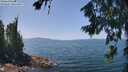 ./images/koeye/fitz-hugh/20260720/fitz-hugh20260720_131501M.jpg