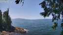 ./images/koeye/fitz-hugh/20260720/fitz-hugh20260720_132002M.jpg