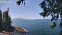 ./images/koeye/fitz-hugh/20260720/fitz-hugh20260720_132501M.jpg
