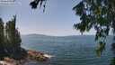 ./images/koeye/fitz-hugh/20260720/fitz-hugh20260720_133501M.jpg