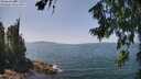 ./images/koeye/fitz-hugh/20260720/fitz-hugh20260720_134001M.jpg