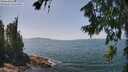 ./images/koeye/fitz-hugh/20260720/fitz-hugh20260720_134501M.jpg