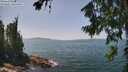 ./images/koeye/fitz-hugh/20260720/fitz-hugh20260720_135002M.jpg