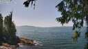 ./images/koeye/fitz-hugh/20260720/fitz-hugh20260720_135501M.jpg