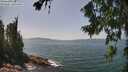 ./images/koeye/fitz-hugh/20260720/fitz-hugh20260720_140501M.jpg
