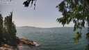 ./images/koeye/fitz-hugh/20260720/fitz-hugh20260720_141001M.jpg