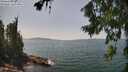 ./images/koeye/fitz-hugh/20260720/fitz-hugh20260720_142001M.jpg