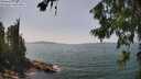 ./images/koeye/fitz-hugh/20260720/fitz-hugh20260720_142501M.jpg