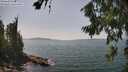 ./images/koeye/fitz-hugh/20260720/fitz-hugh20260720_143002M.jpg