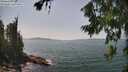 ./images/koeye/fitz-hugh/20260720/fitz-hugh20260720_143501M.jpg