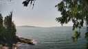 ./images/koeye/fitz-hugh/20260720/fitz-hugh20260720_145001M.jpg