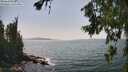 ./images/koeye/fitz-hugh/20260720/fitz-hugh20260720_153002M.jpg