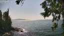 ./images/koeye/fitz-hugh/20260720/fitz-hugh20260720_154502M.jpg