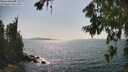 ./images/koeye/fitz-hugh/20260720/fitz-hugh20260720_160501M.jpg