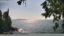 ./images/koeye/fitz-hugh/20260720/fitz-hugh20260720_162002M.jpg