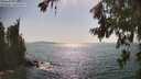 ./images/koeye/fitz-hugh/20260720/fitz-hugh20260720_164501M.jpg