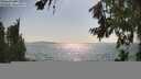 ./images/koeye/fitz-hugh/20260720/fitz-hugh20260720_165001M.jpg
