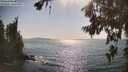 ./images/koeye/fitz-hugh/20260720/fitz-hugh20260720_170501M.jpg