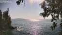 ./images/koeye/fitz-hugh/20260720/fitz-hugh20260720_171001M.jpg