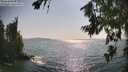 ./images/koeye/fitz-hugh/20260720/fitz-hugh20260720_172001M.jpg