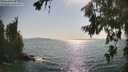 ./images/koeye/fitz-hugh/20260720/fitz-hugh20260720_172501M.jpg