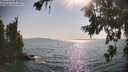 ./images/koeye/fitz-hugh/20260720/fitz-hugh20260720_173002M.jpg