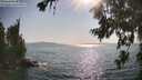 ./images/koeye/fitz-hugh/20260720/fitz-hugh20260720_173501M.jpg